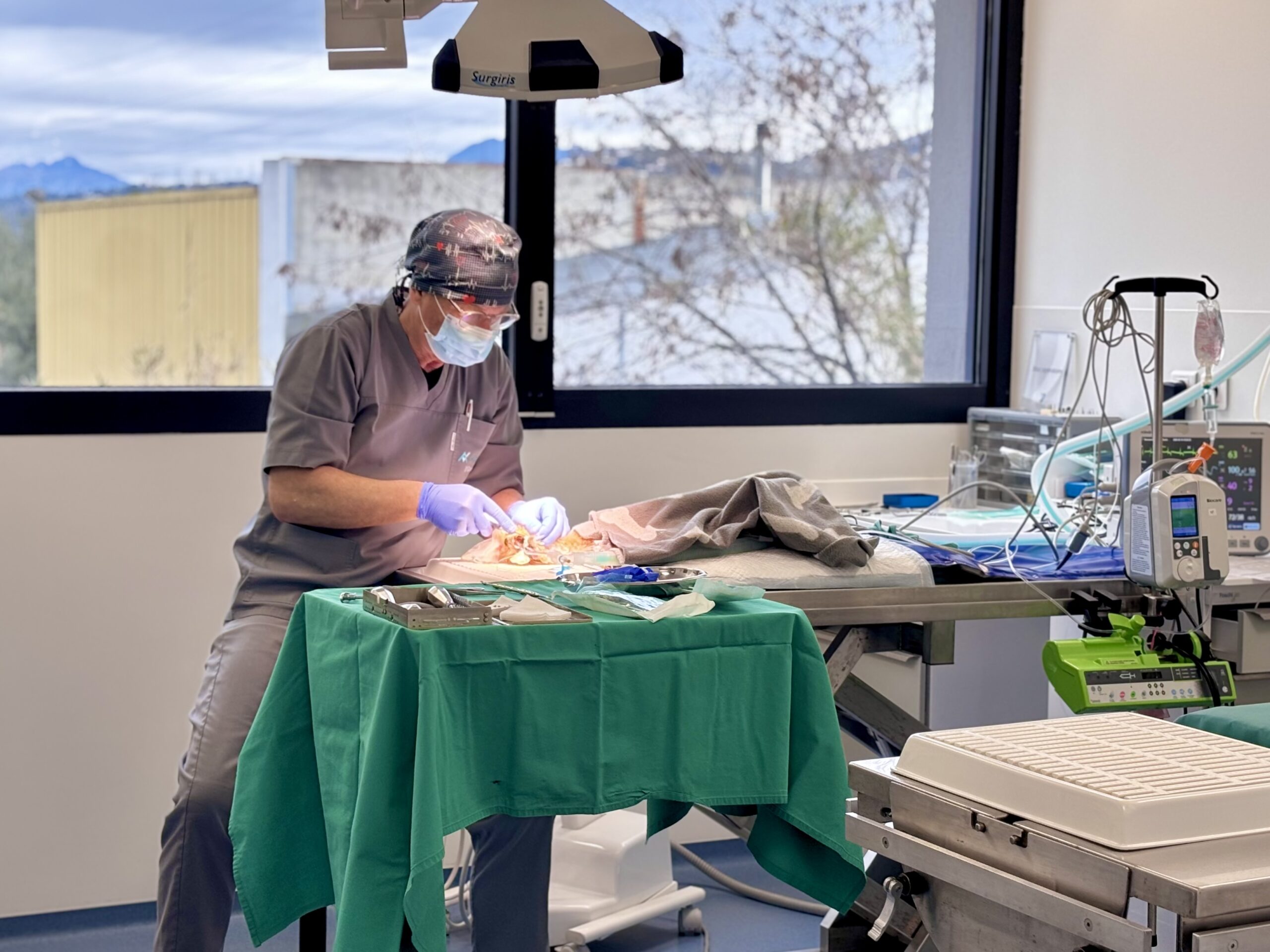 Dentisterie Vétérinaire